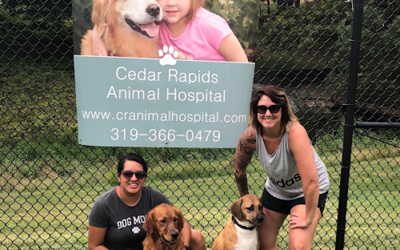 Cedar Rapids Animal Hospital