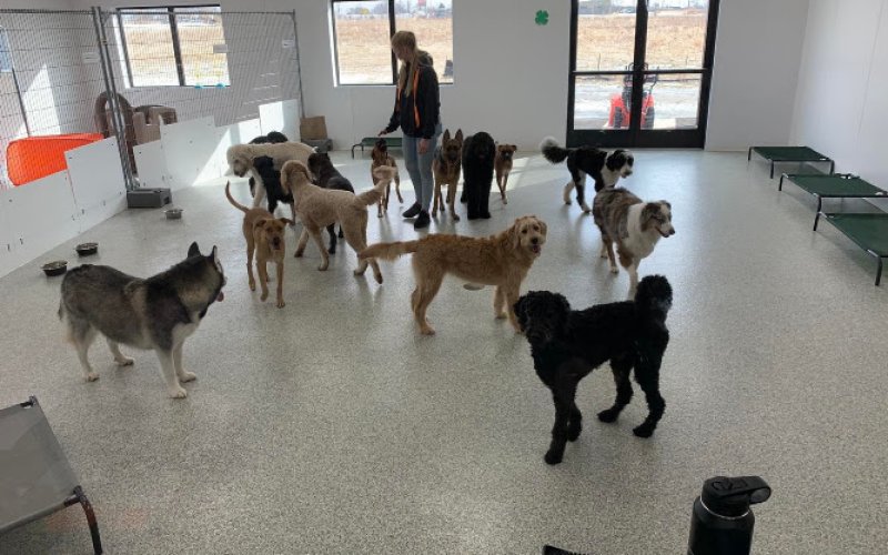 Eastern Iowa Pet Resort