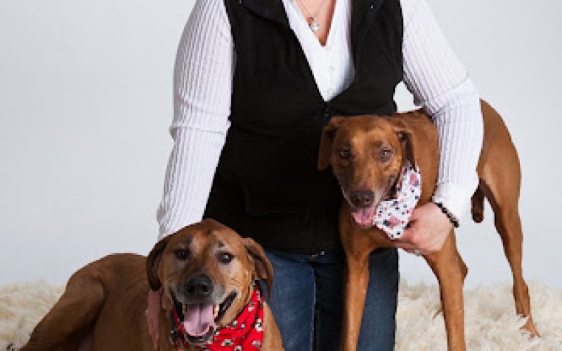 Frey Pet Hospital