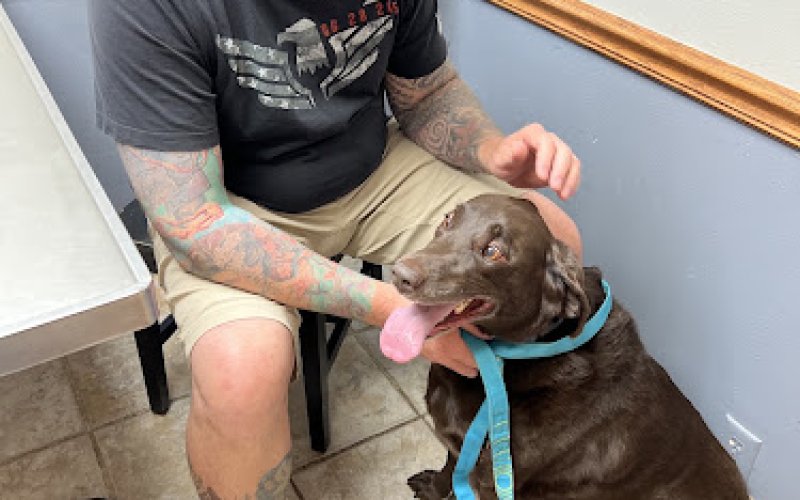 Linn Animal Hospital North