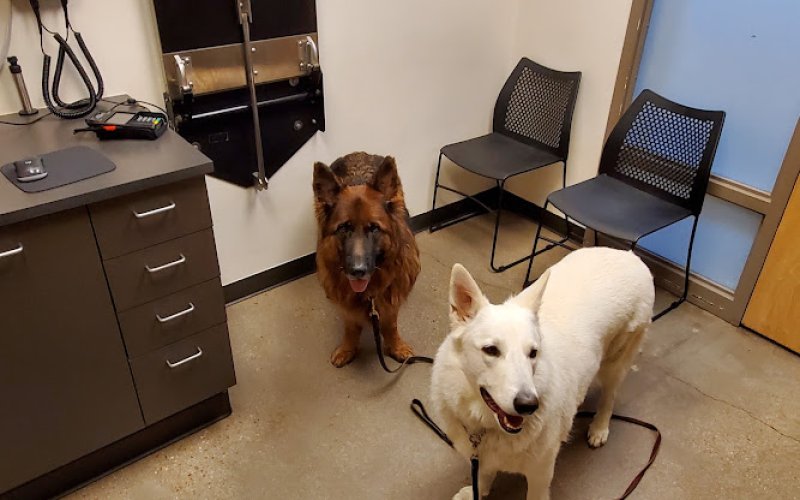 Aurora Animal Hospital