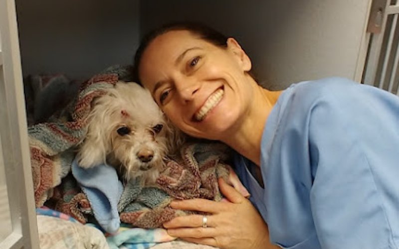 Cherry Knolls Veterinary Clinic and Urgent Care