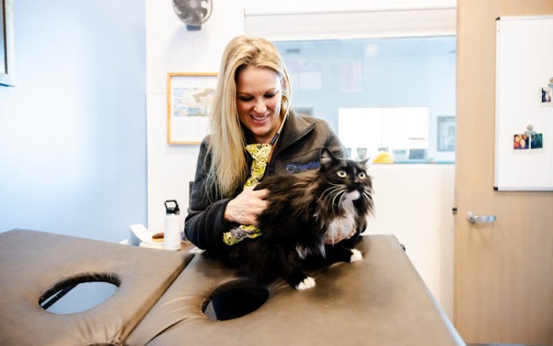 HeartVet
