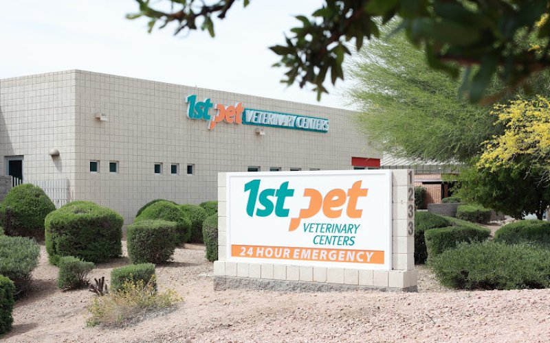 1st Pet Veterinary Centers - Chandler