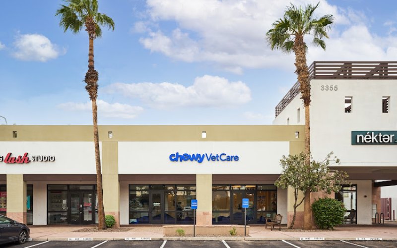Chewy Vet Care Chandler