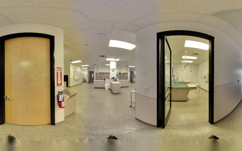 Family VetCare of Chandler