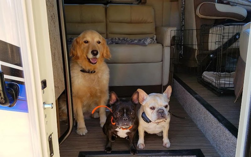 Kennel Care Veterinary Hospital