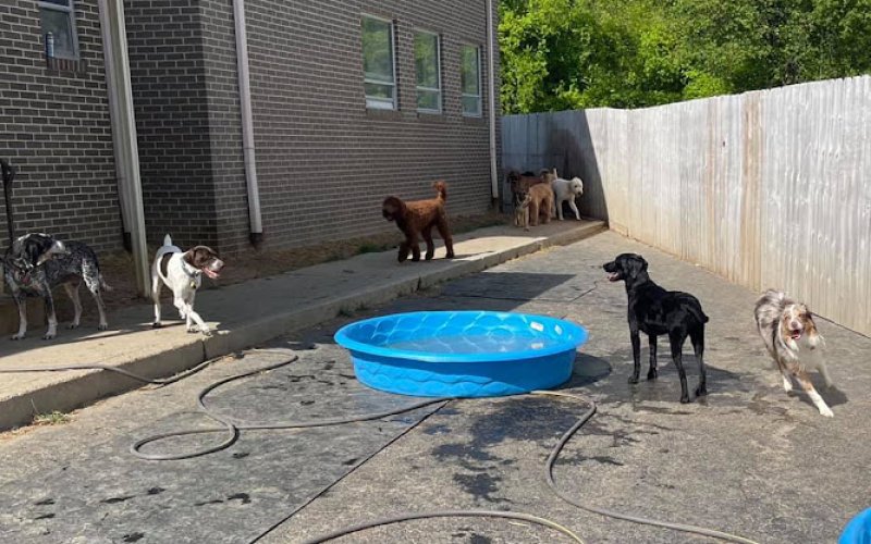 PetQuest Spa & Hotel