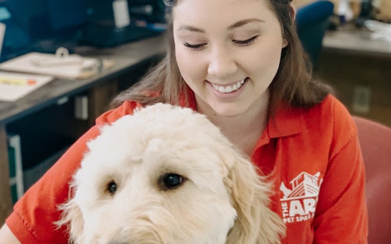 The Ark Pet Spa & Hotel - East Brainerd