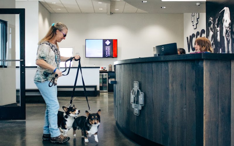Veterinary Care and Specialty Group