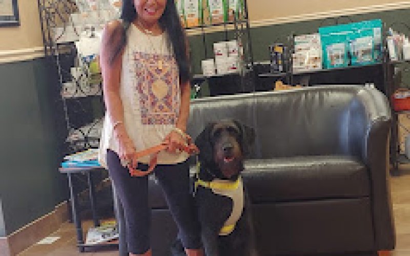Wolftever Pet Wellness Group in Harrison