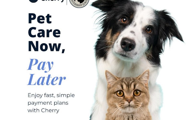 Broadmoor East Veterinary Clinic