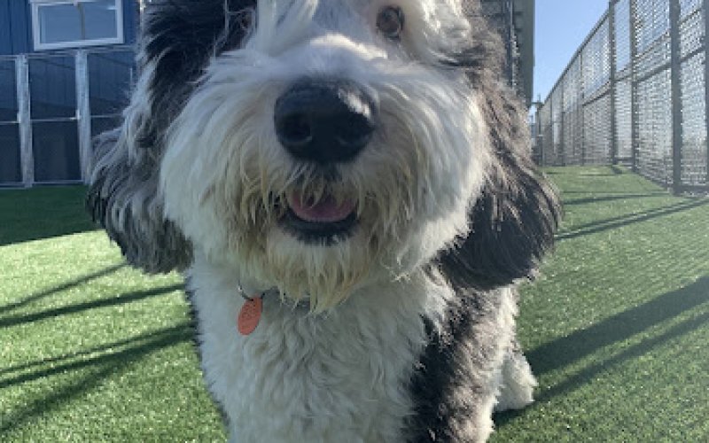 Prairie Hills Animal Hospital