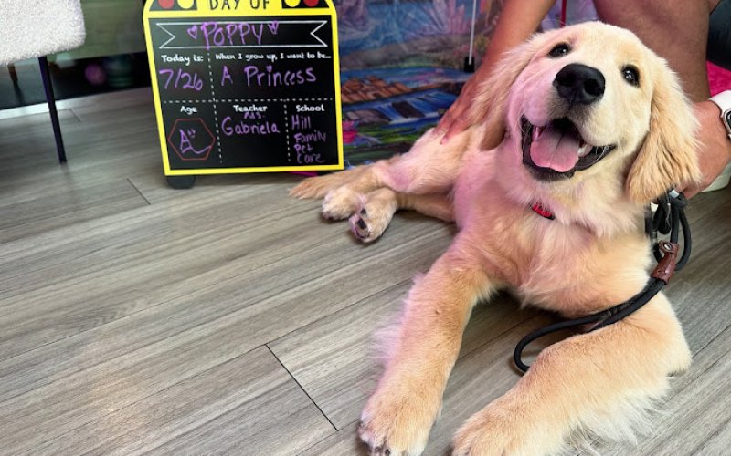 Hill Family Pet Care