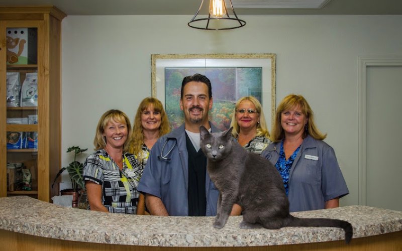 Chico Creek Animal Hospital — Veterinarian in Chico