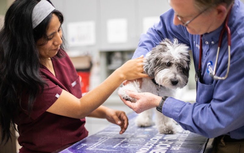 Pacific Pet Hospital