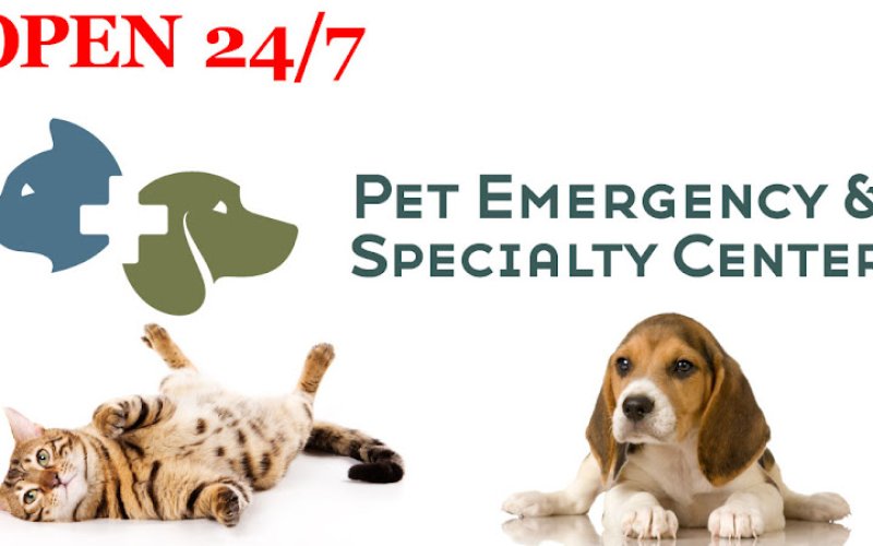Pet Emergency & Specialty Center-South County