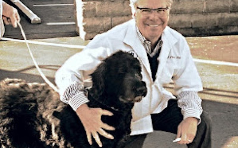 PetCare Animal Hospital