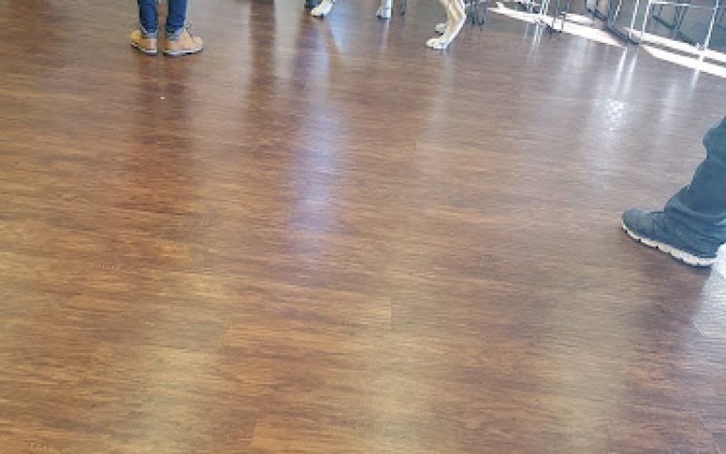 Pets In Need of Greater Cincinnati