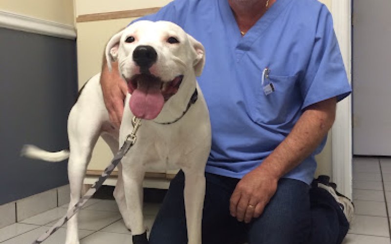 A Pet's Place of Clearwater