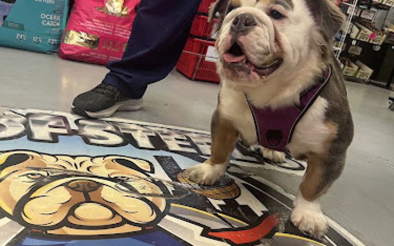 PETROPOLIS — Pet supply store in Clovis