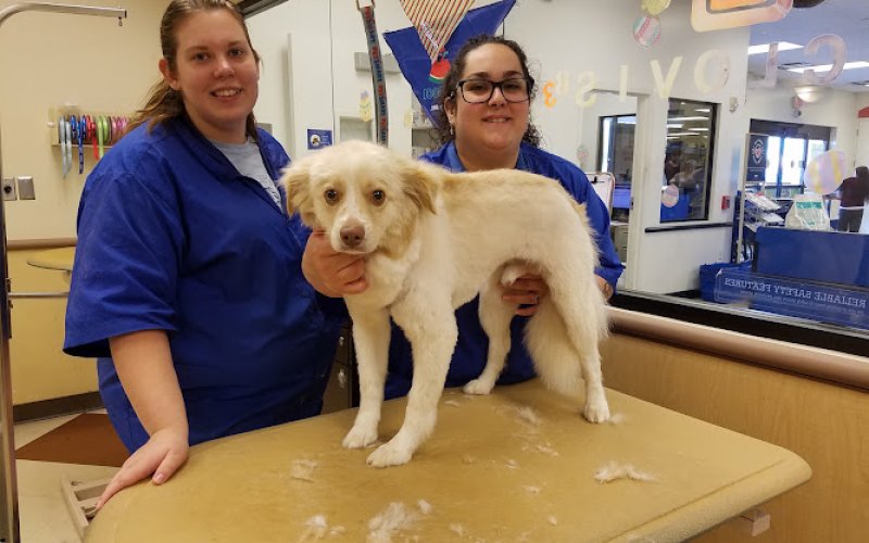 PetSmart — Pet supply store in Clovis