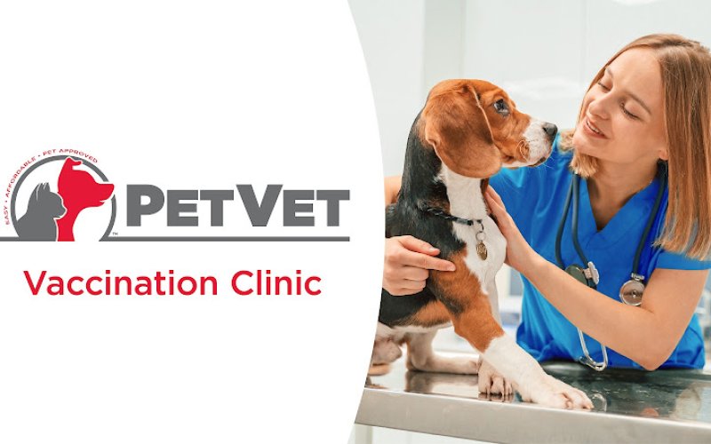 PetVet Vaccination Clinic — Veterinarian in Clovis