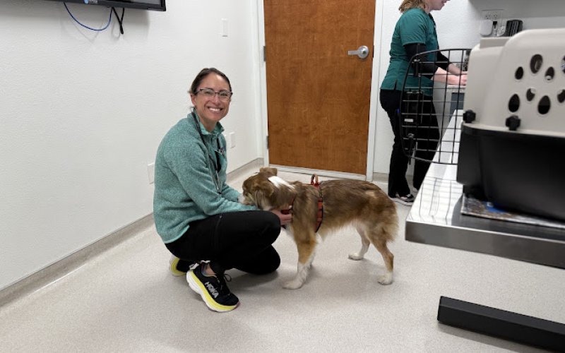 Waterhouse Animal Hospital of Clovis — Veterinarian in Clovis