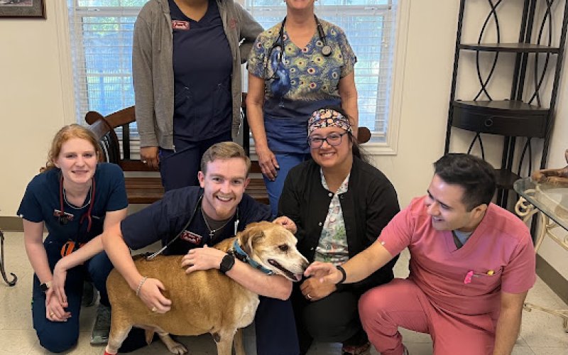 All Pets Veterinary Medical Center
