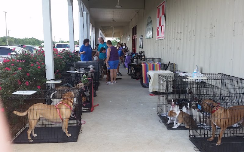 America's Country Store and Pet Resort