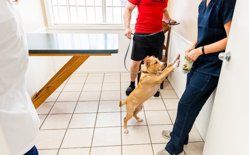 College Hills Veterinary Hospital