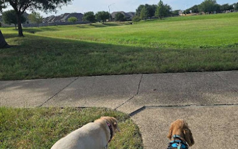 Pet Care Club of Aggieland