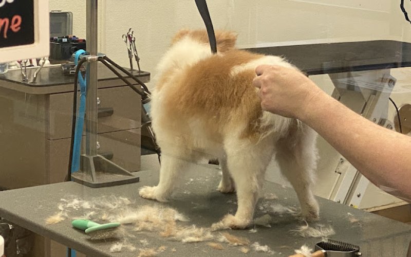 Vetco Total Care