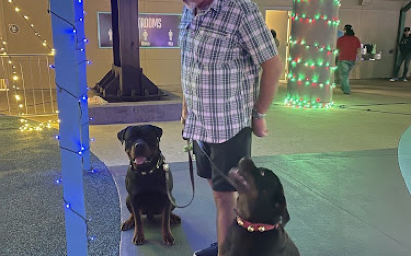 Veterinary Small Animal Hospital (VSAH)