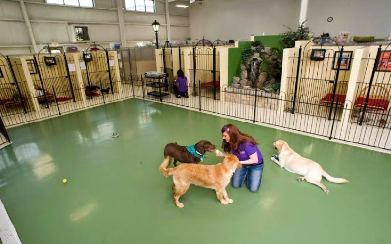 Pet Palace - Columbus