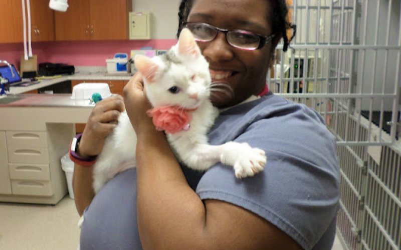 Purrfect Care Feline Medical Center