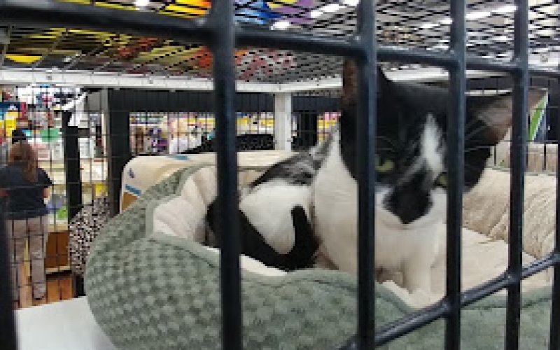 Pet Supermarket