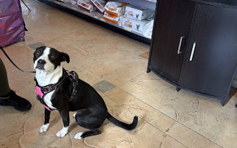 Riverside Animal Hospital