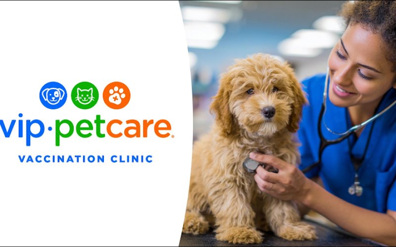 VIP Petcare Vaccination Clinic