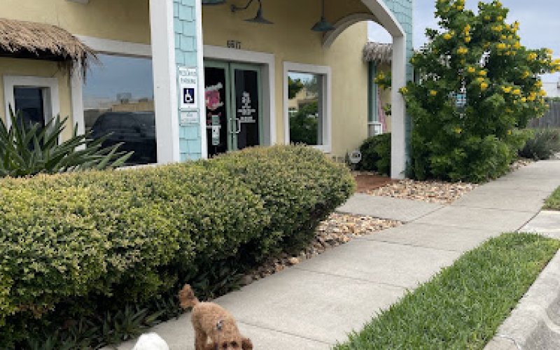 Barkaritaville Pet Resort