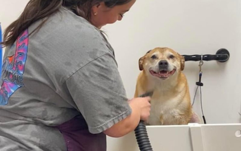 EarthWise Pet Nutrition Center & Wellness Spa Corpus Christi