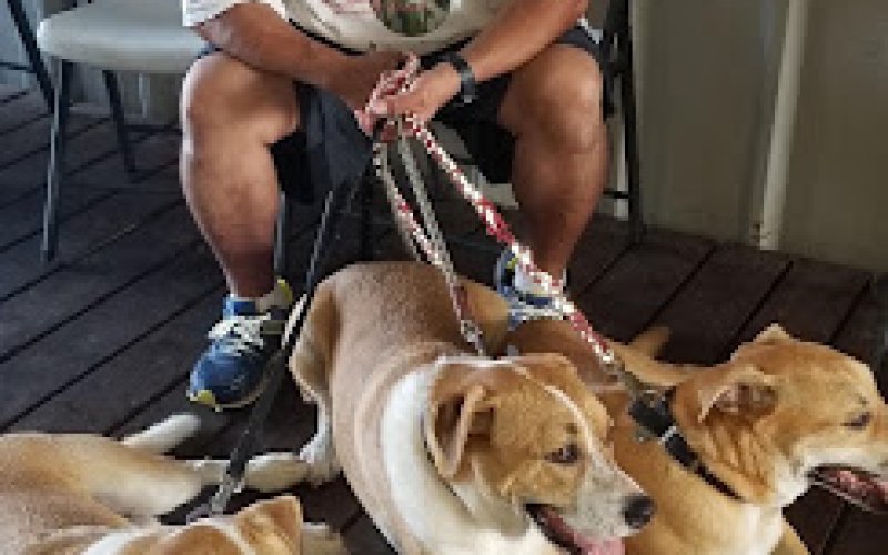 People Assisting Animal Control
