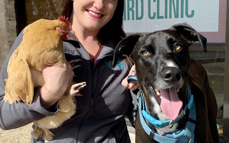 Summertree Animal & Bird Clinic