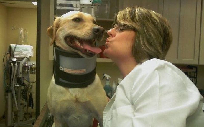 Fleur Pet Hospital