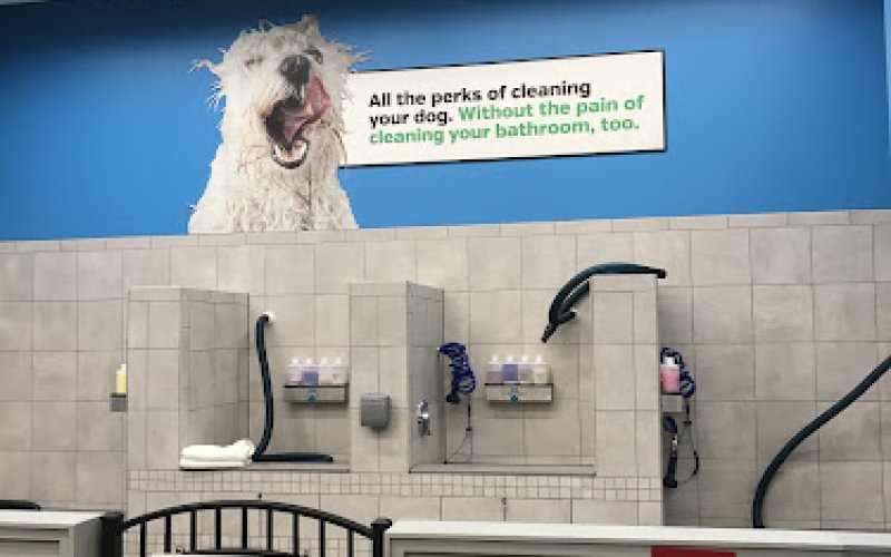 Pet Supplies Plus Des Moines
