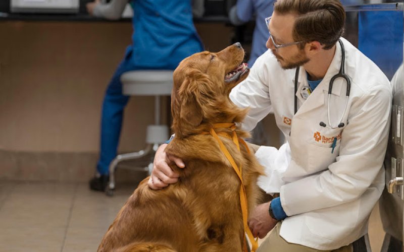 Banfield Pet Hospital