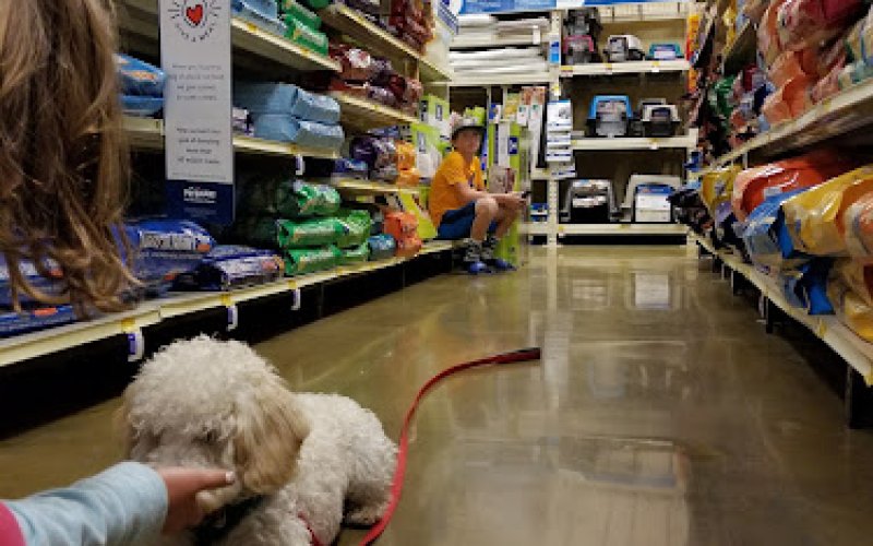 PetSmart
