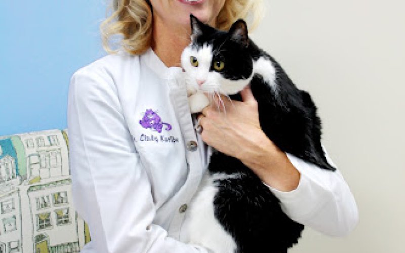 Care & Comfort Veterinary Hospital, A Thrive Pet Healthcare Partner