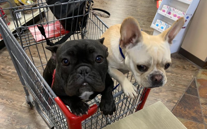 Healthy Pet Pantry