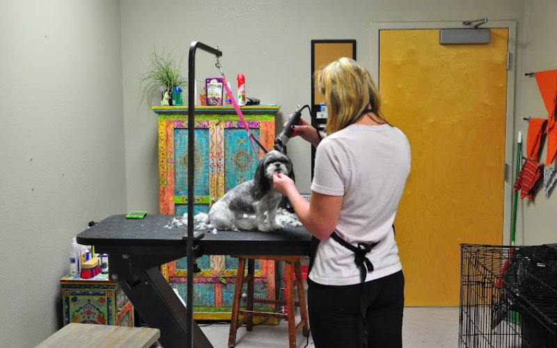 Franklin Ranch Pet Hospital and Hotel